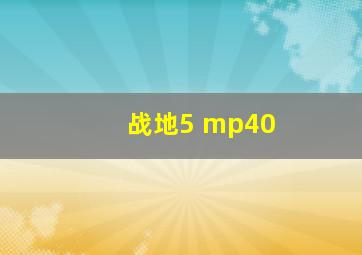 战地5 mp40